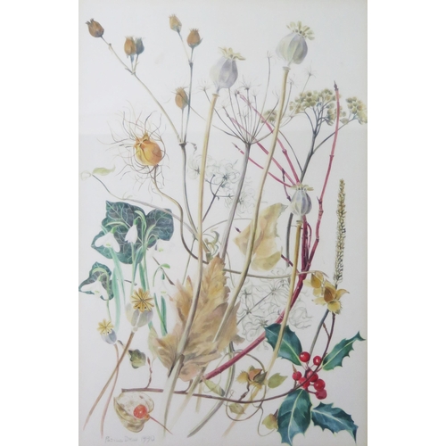 1559 - Patricia Drew, Four floral watercolours depicting the seasons signed and dated 1988 and 1990, image ... 