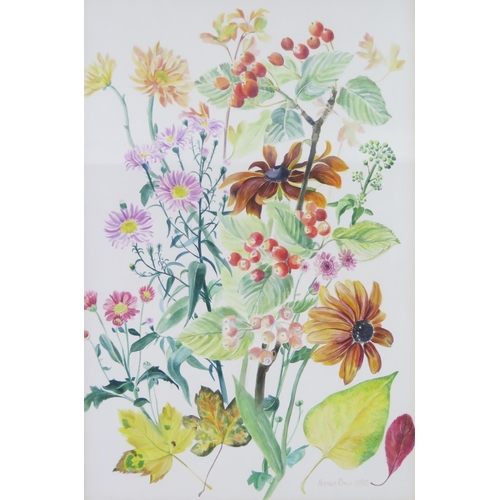 1559 - Patricia Drew, Four floral watercolours depicting the seasons signed and dated 1988 and 1990, image ... 