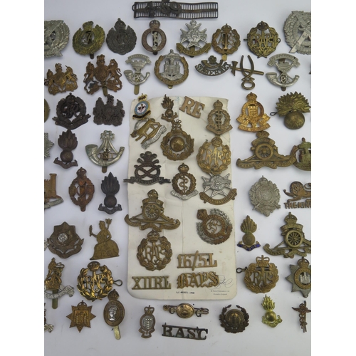 305 - An extensive collection of British regimental cap badges, RAF badges, shoulder badges etc.