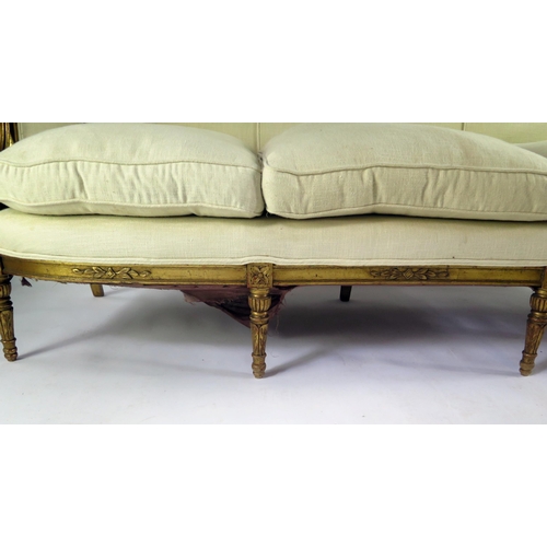 359 - A 19th century Louis XVI style gilt wood canapé, straight top rail and padded back, with padded scro... 