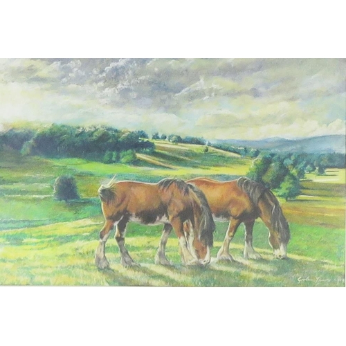 1102 - Graham Young? Shire Horses Grazing, gouache, 53x35cm, framed & glazed