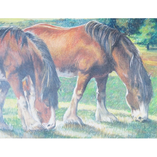 1102 - Graham Young? Shire Horses Grazing, gouache, 53x35cm, framed & glazed