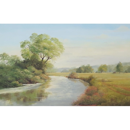 1106 - David Woods, 'Summer on The Otter', oil on canvas, labelled verso, 75x50cm, framed