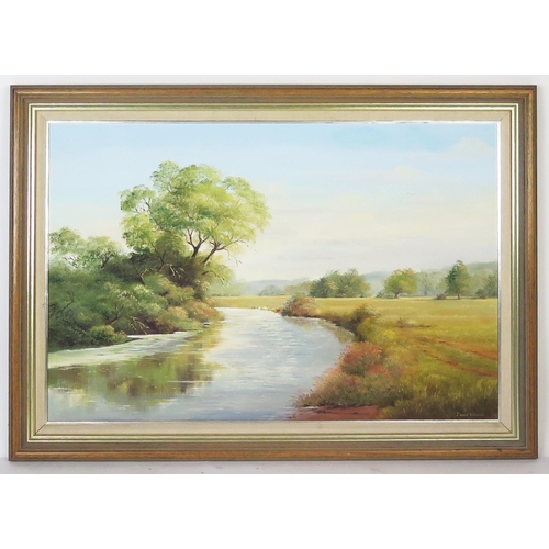 1106 - David Woods, 'Summer on The Otter', oil on canvas, labelled verso, 75x50cm, framed