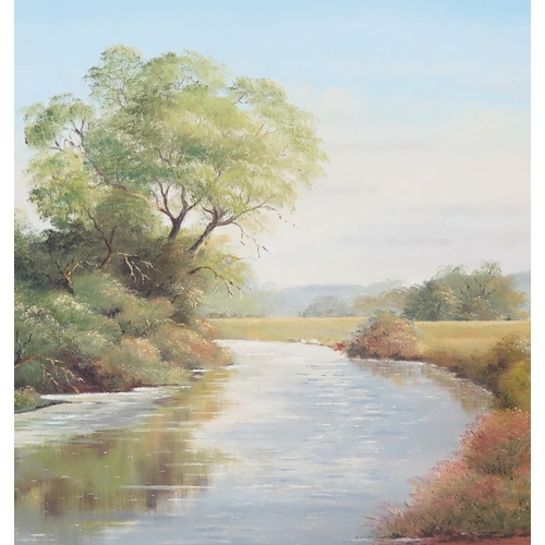 1106 - David Woods, 'Summer on The Otter', oil on canvas, labelled verso, 75x50cm, framed