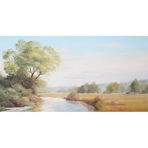 1106 - David Woods, 'Summer on The Otter', oil on canvas, labelled verso, 75x50cm, framed