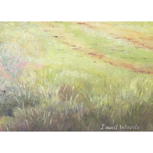 1106 - David Woods, 'Summer on The Otter', oil on canvas, labelled verso, 75x50cm, framed