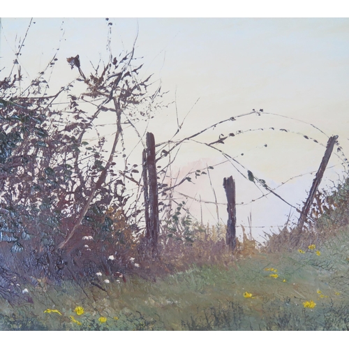 1114 - Pamela Derry SWA, British (1932-2002), The Fence, oil on board, 44x29cm, framed