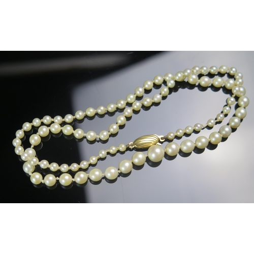 115 - A Graduated Cultured Pearl Single Strand Necklace with a 9ct gold clasp, largest pearl 7.4mm, 19