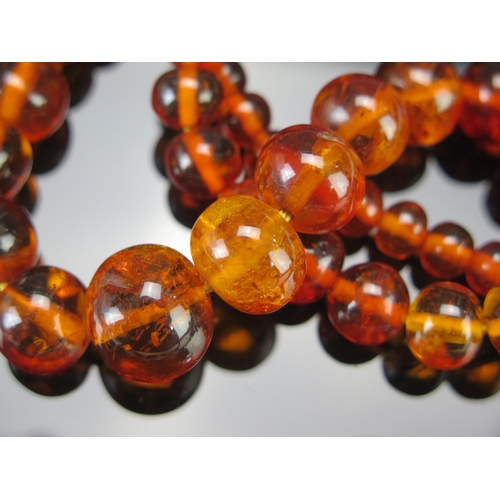 215 - An Amber Graduated Bead Necklace with a 9ct gold clasp, largest bead c. 7.5,  29