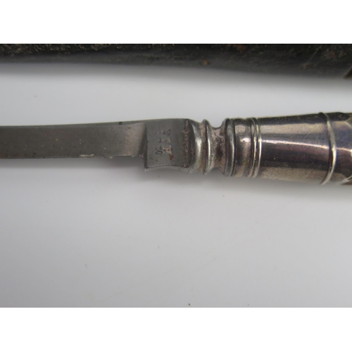 702 - An early 19th century fruit knife with steel blade silver collar and polished agate handle, containe... 