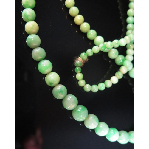 82 - A Jadeite Graduated Bead Necklace, 27.5