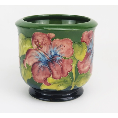 1124 - A Moorcroft pottery jardinière, of cylindrical form with Hibiscus pattern decoration on a circular f... 