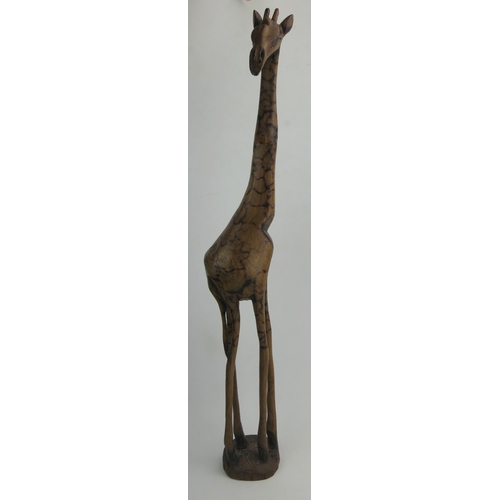 1149 - An African Carved Wooden Model of a Giraffe, 80cm high