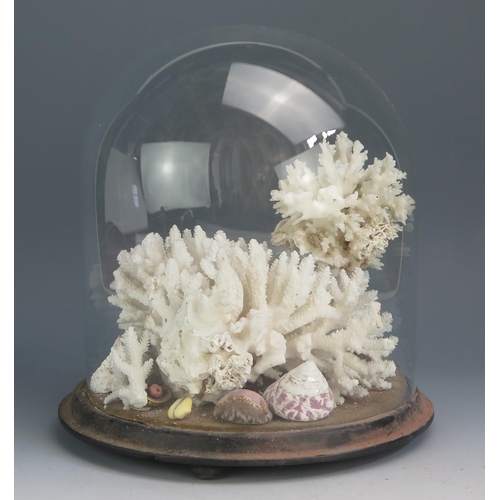 1290 - A large piece of white coral contained under a glass dome, 29cm high.