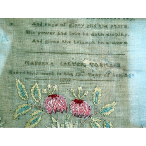 1352 - A Victorian needlework sampler, with central verse, enclosed by a floral meander border, worked by I... 