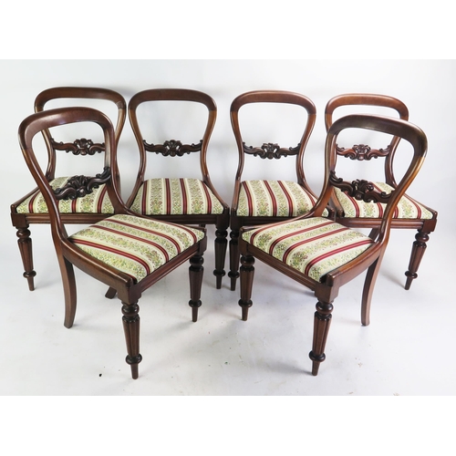 1503 - A Victorian Set of Six Mahogany Balloon Back Chairs with fluted legs and drop in seats