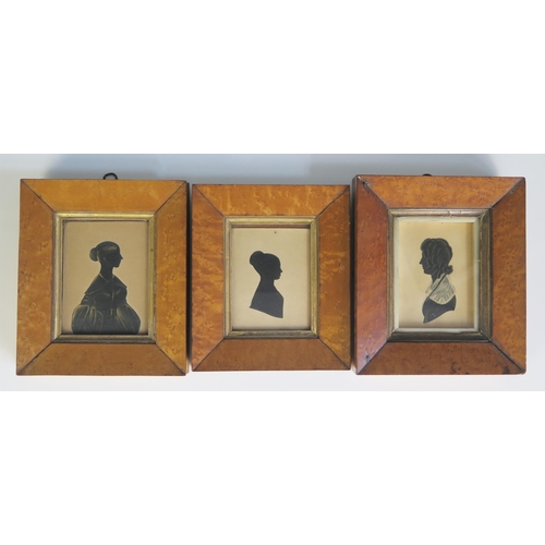 1552 - Two 19th century silhouettes of young ladies heightened in gilt, contained in maple frames, together... 