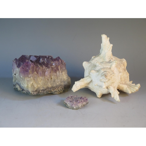 1602 - A small section of amethyst geode, together with a conch shell. (2)