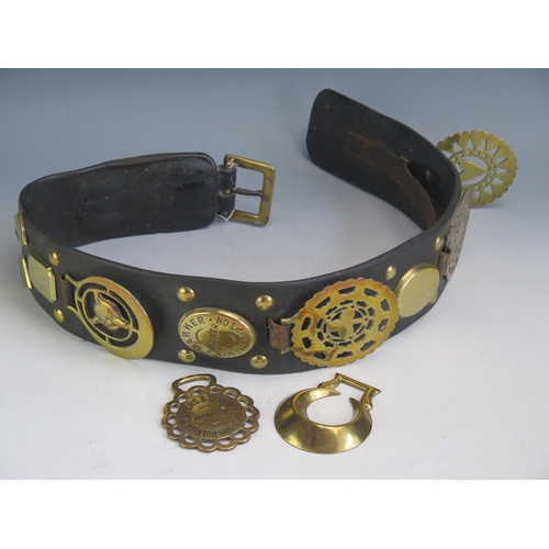 1603 - A leather and brass martingale and other horse brasses.