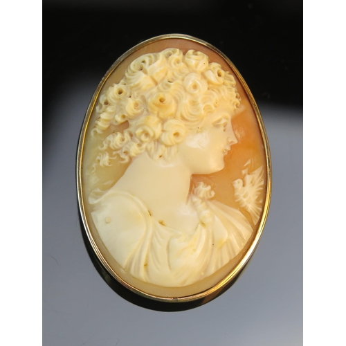 181 - An Antique Shell Cameo Brooch in a precious yellow metal setting, 41.8x30.8mm, KEE tests as 14ct, 10... 