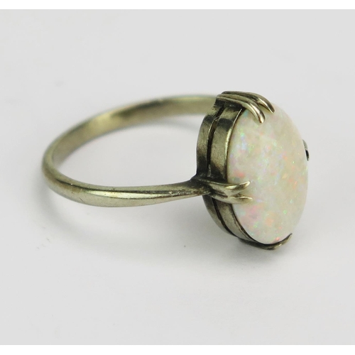 54 - A Precious White Metal and Opal Dress Ring, size K.75, 10.9x7mm stone, probably 9ct white gold, 2g