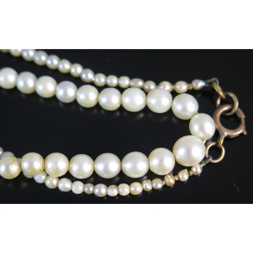 84 - A Graduated Pearl Necklace or Cultured Pearl, largest 6.45x6.25mm, 15.5