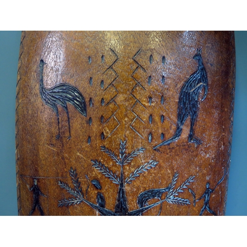 1150A - An Albert Woodlands style carved wood shield, with incised decoration of kangaroo, butterflies, trib... 