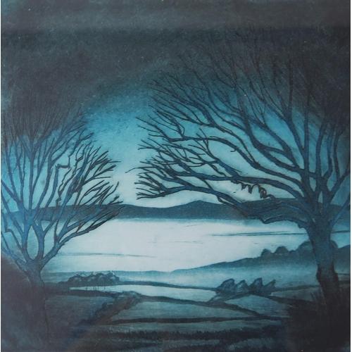 942 - Morna Rhys, contemporary printmaker, 'Misty Morn' 2009, etching and aquatint numbered 26/100, 12 x 1... 