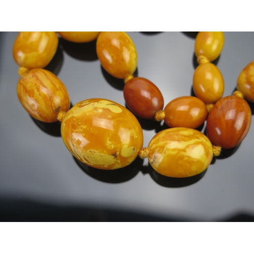 195 - A Graduated Amber Bead Necklace (largest bead 26x22mm, 19.5