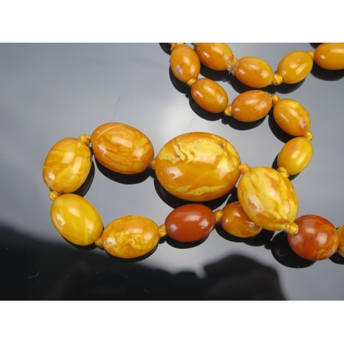 195 - A Graduated Amber Bead Necklace (largest bead 26x22mm, 19.5