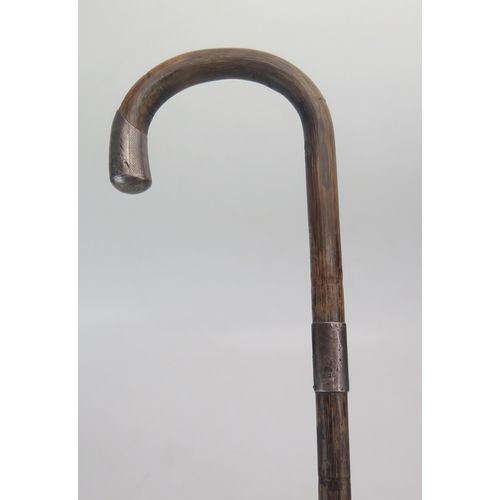 671 - A silver mounted walking cane.