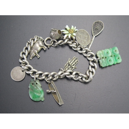 72 - A Silver Curb Link Charm Bracelet with jadeite and other charms, 36.38g gross