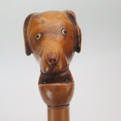 1087 - A carved hardwood walking stick, the handle carved with a dog's head holding a basket.