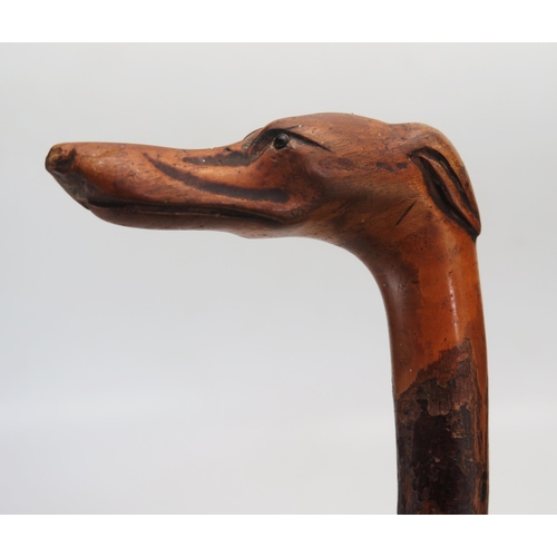 1087A - A carved wood walking stick the handle carved in the form of a whippet's head, with inset glass eyes... 