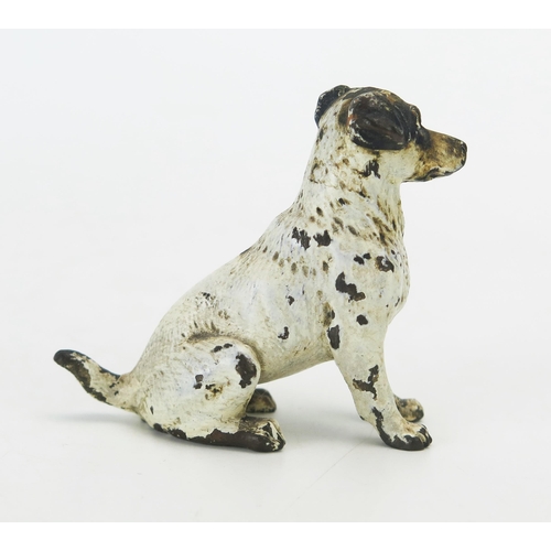 1100 - An Austrian cold painted bronze model of a terrier dog, 5cm high.