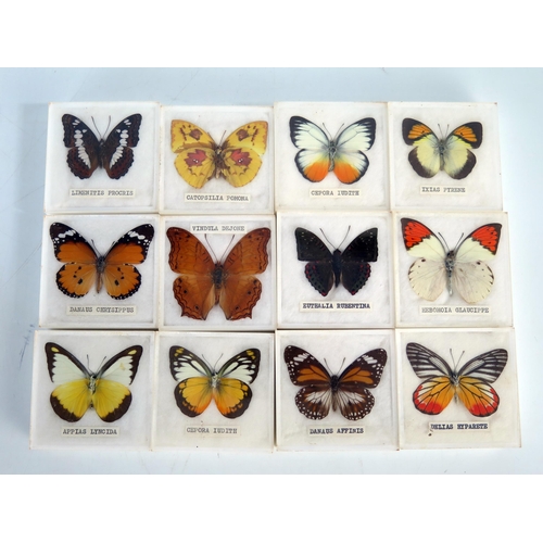 1374 - A collection of Asian butterflies, contained in fitted cases, (12).