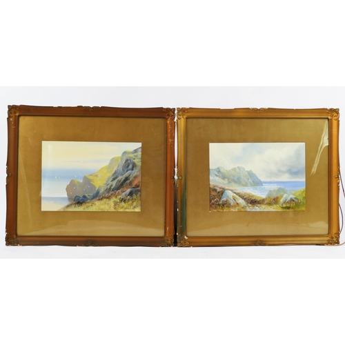 976 - Reginald Daniel Sherrin (1868-1940), A pair of Devon Coastal Scenes, gouache, 37x26cm, F&G