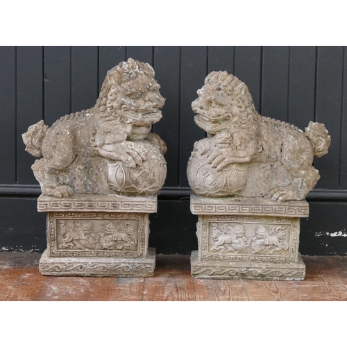 1657 - A pair of reconstituted stone temple lions each clasping a decorative ball, raised on a rectangular ... 