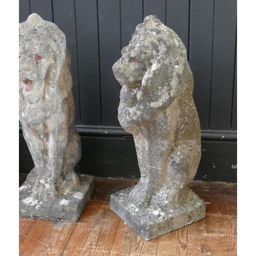 1659 - A set of four reconstituted stone lions sejant, mounted on rectangular base, 57cm high. (4).