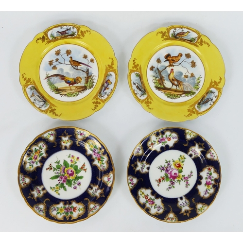 1712 - A pair of continental porcelain plates each decorated with exotic male and female Pheasants and othe... 