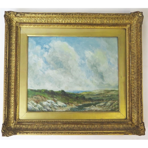 1533 - 19th Century oil on board, Moorland Scene,  unsigned, 29 x 24cm, F & G