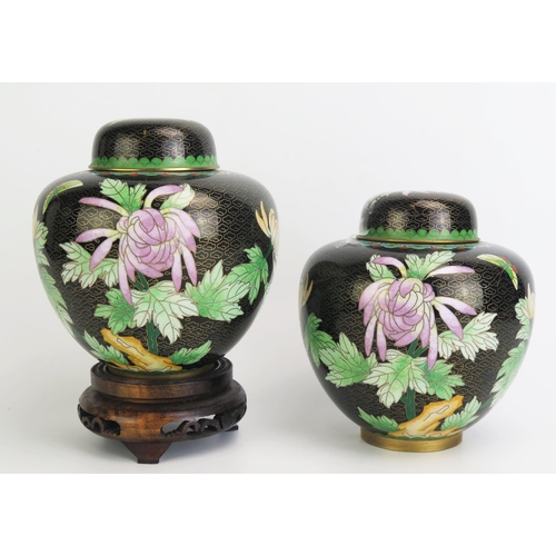 1165 - A pair of Chinese cloisonné ginger jars and covers, decorated with flowers and butterflies to a blac... 