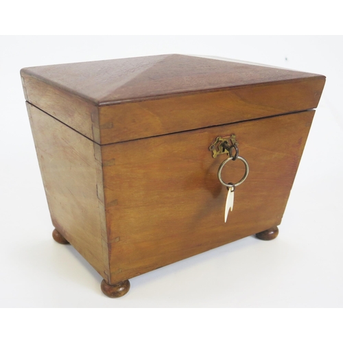 1287 - A 19th century mahogany tea caddy of rectangular tapering form, raised on bun feet, 22cm wide.