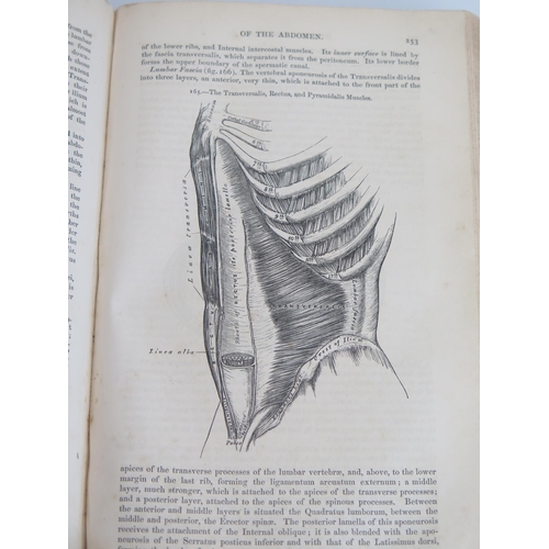 1497 - GRAY (Henry) Anatomy Descriptive and Surgical, cloth. gilt. illus, 2nd Edn,  London 1860.