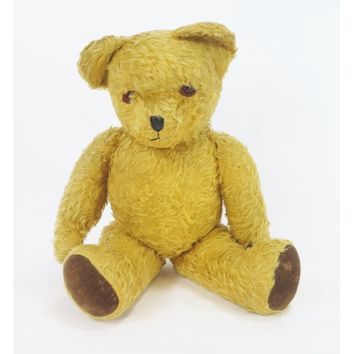 1366 - Large Pedigree Teddy Bear, 65cm and a Victorian leather bound carte de visite album