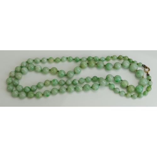 235 - A Jadeite Graduated Bead Necklace with 9ct gold clasp, largest bead 9.65mm, 62g