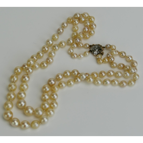 65 - A Two Strand Graduated Pearl or Cultured Pearl Choker (39cm) with old cut diamond clasp in a yellow ... 