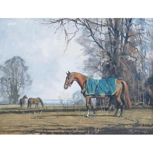 1516B - Walter Robin Jennings (1927-2005), 'Copper and Blue', oil on canvas depicting horses, signed lower r... 