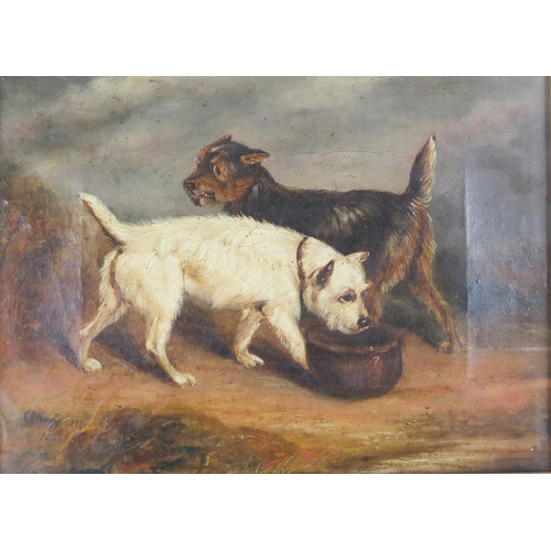 1538 - J Barry, study of two terriers, signed and dated 1836, oil on canvas, 30 x 22, framed, A/F and a por... 